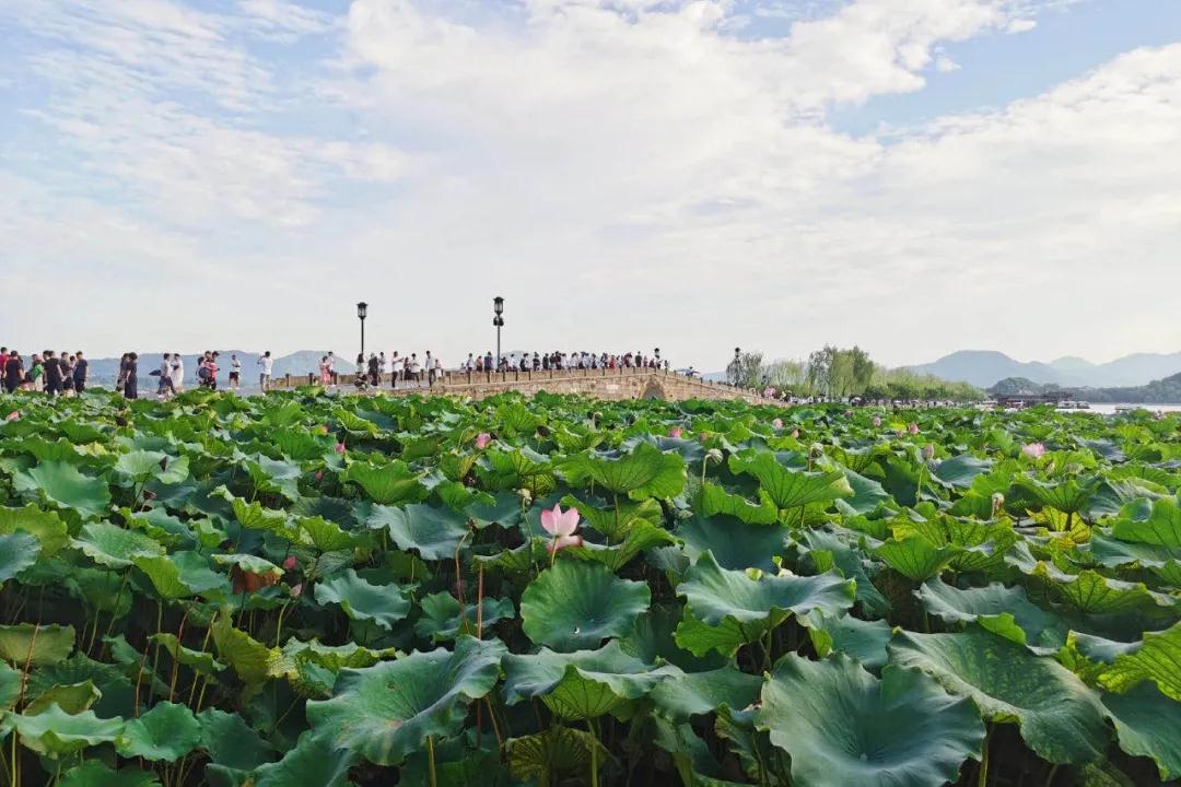 2021安徽萬業(yè)企業(yè)管理有限公司杭州團(tuán)建旅行西湖